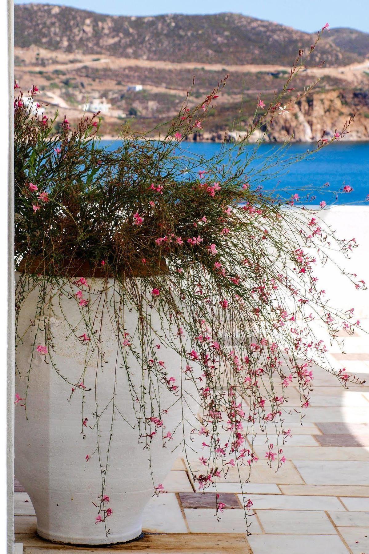 Patmos Paradise Kámbos